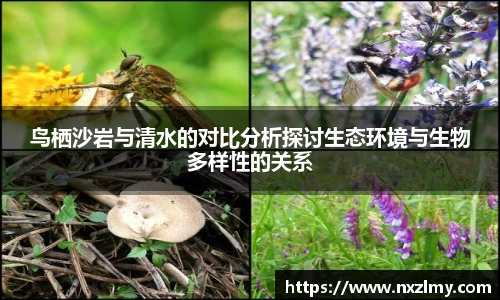 鸟栖沙岩与清水的对比分析探讨生态环境与生物多样性的关系